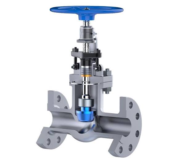 Globe Valve
